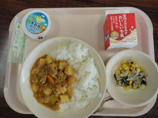 DSC04049
